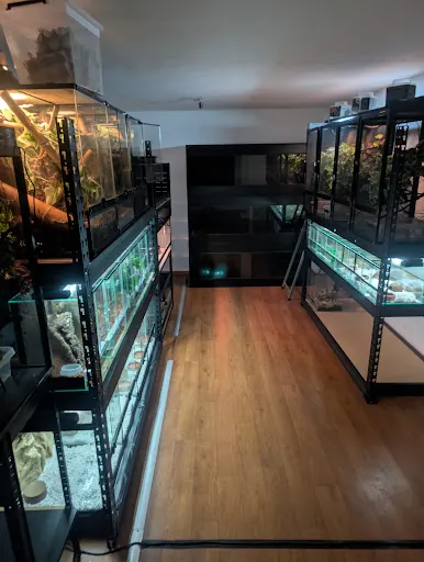 Sklep terrarystyczno zoologiczny Gadziarczi